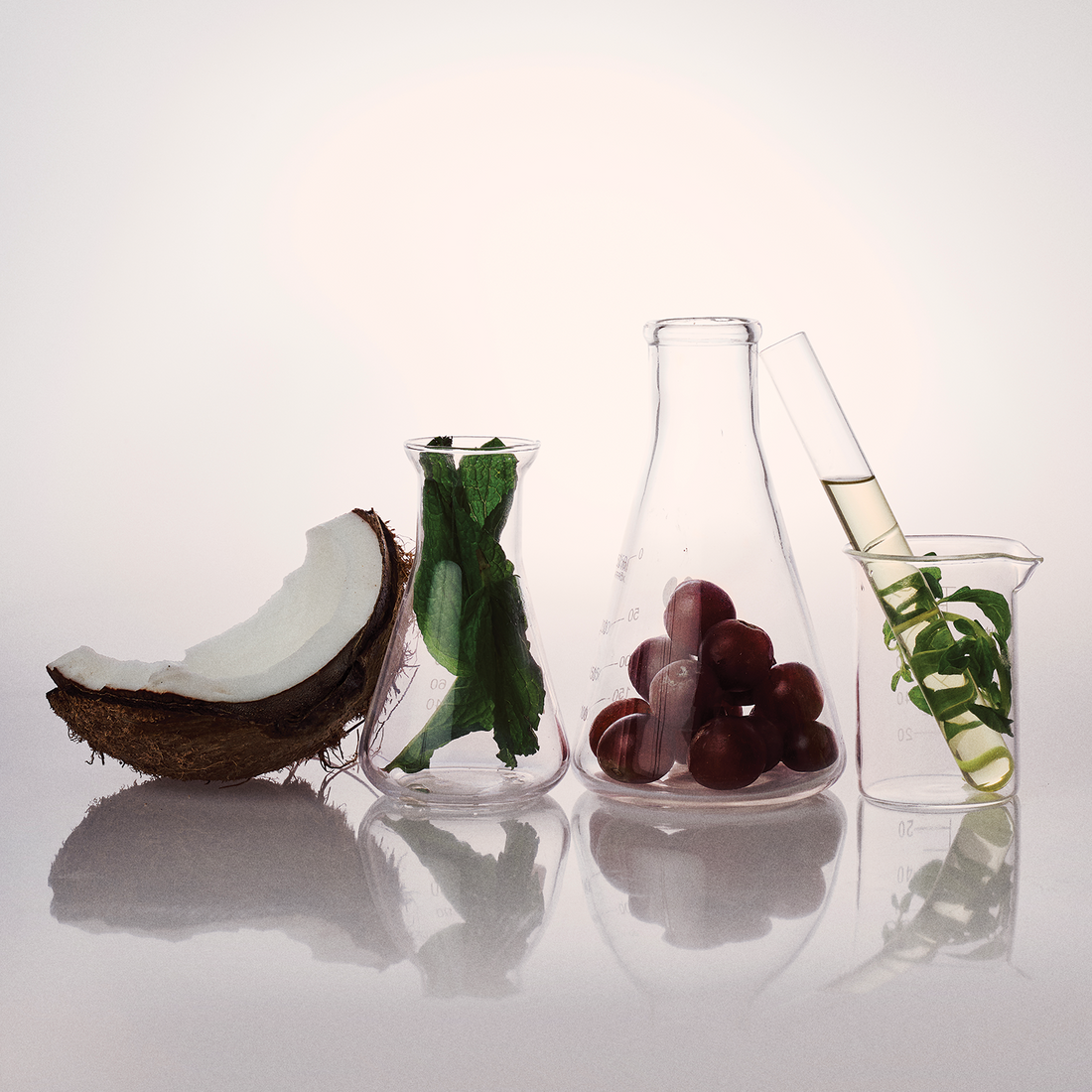 Sobre los Ingredientes